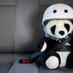 Panda Update 25 aktiv War der Panda da
